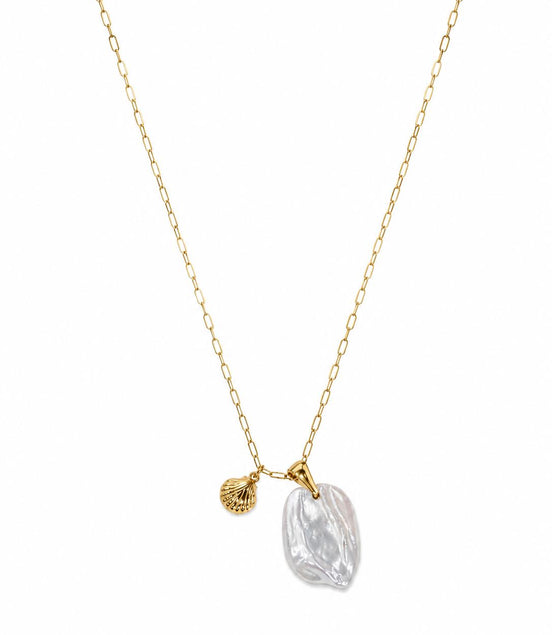 Collar Dorado con Concha y Nácar