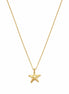 Collar Dorado con Estrella