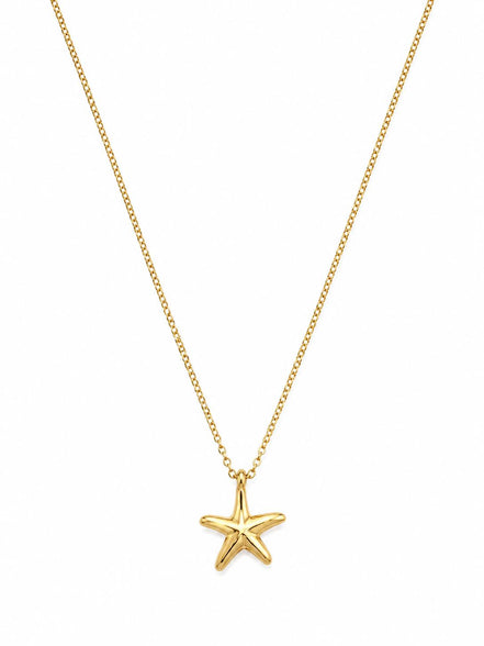 Collar Dorado con Estrella