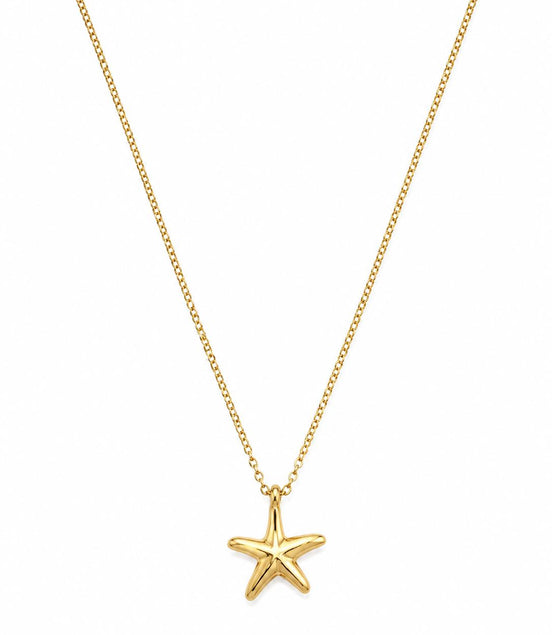 Collar Dorado con Estrella